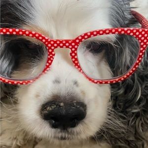 New Show Alert Starting Now!!  Hope you can make it!!